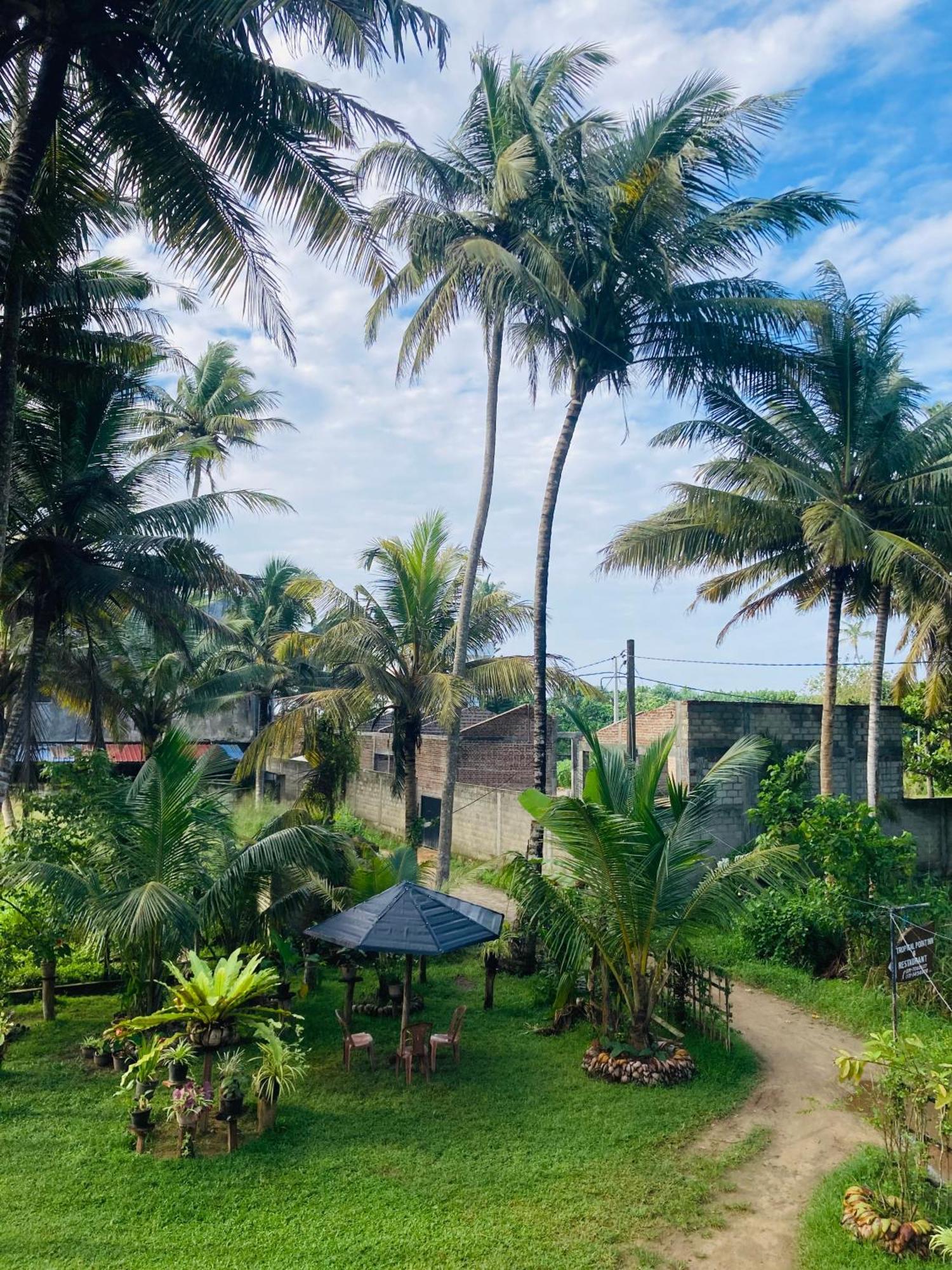 מטרה Tropical Point Inn מראה חיצוני תמונה